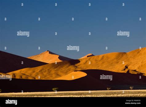 sossusvlei dunes in namibia Stock Photo - Alamy