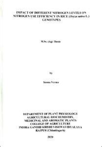IMPACT OF DIFFERENT NITROoGEN LEVELS ON NITROGEN USE EFFICIENCY IN RICE