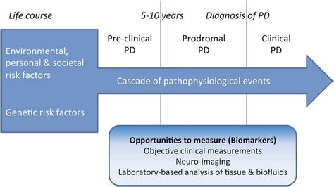 The Prediagnostic Phase Of Parkinsons Disease Journal Of Neurology