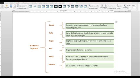 Cuadro Sinoptico En Word 2010 Como Hacer Un Cuadro Resumen Images