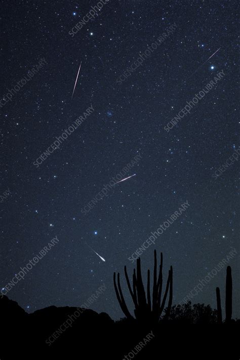 Leonid meteor shower - Stock Image - R305/0234 - Science Photo Library