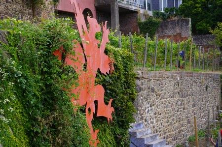 Visite guidée de la Cité médiévale et des vignes Ville de Thuin