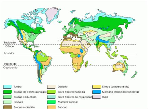 Regiones Naturales Del Mundo Qué Son Cuáles Son Tipos Y