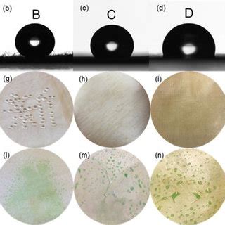 Surface Morphology And Wetting Of A F K Material A B G L Material