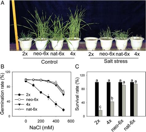 Effects Of Salt Stress On Survivorship And Germination Rate Of Four