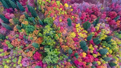 Utah Fall Colors - NetHugs.com