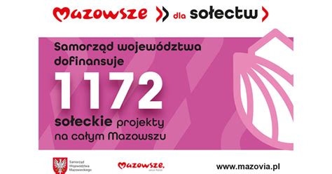 10 projektów sołectw z Gminy Gostynin otrzyma dofinansowanie z budżetu