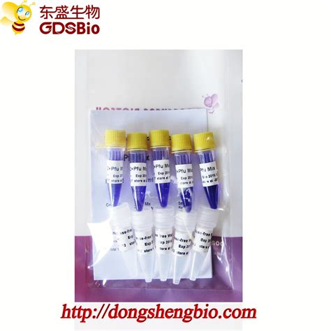 Highly Efficient And Stable 2X Pfu PCR Mix PCR Master Mix Kit China