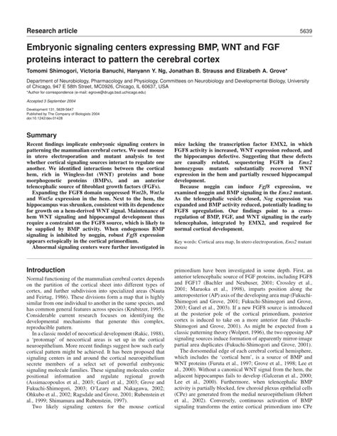 PDF Embryonic Signaling Centers Expressing BMP WNT And FGF Proteins