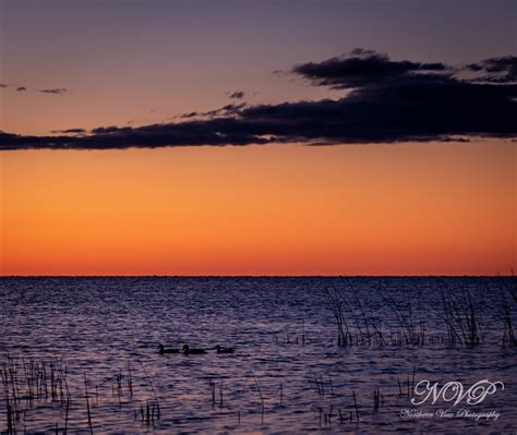 Local News and Community Updates from The Northern View