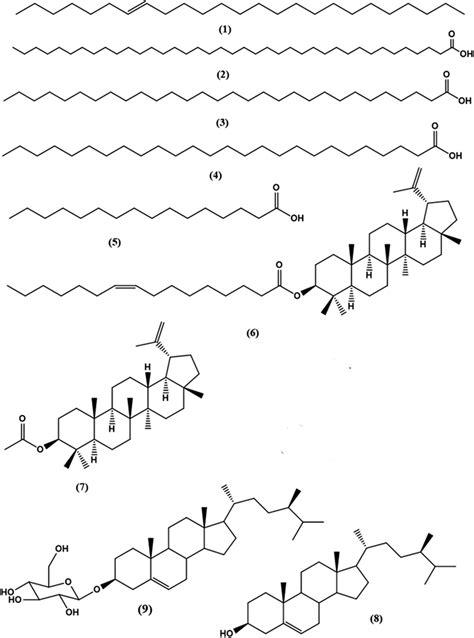 Chemical Structure Of Compounds Isolated From Dcm Fraction Of Morus