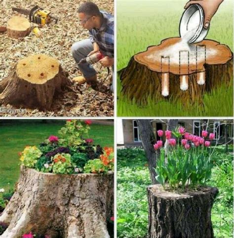 Tree Stump Mini Garden Tree Stump Decor Garden Yard Ideas Garden