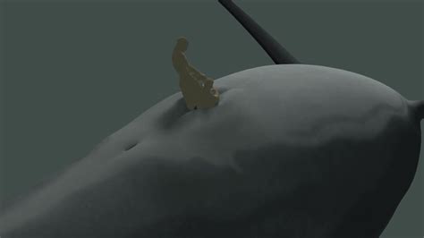 Dolphin Anal Vore ThisVid