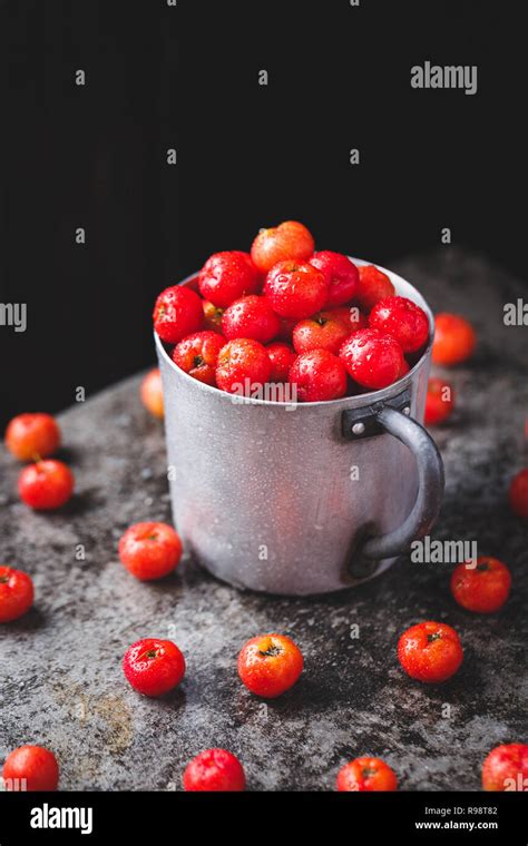 Barbados Cherry fruits Stock Photo - Alamy