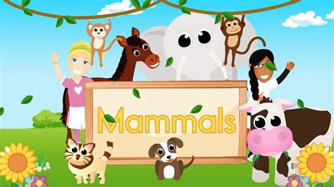 Mammals Video Ks1 - Dogs And Cats Wallpaper