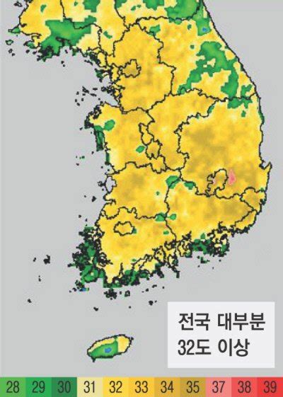 2018년 31일간의 폭염올해도 닮으면 어쩌나 네이트 뉴스