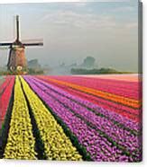 Tulips And Windmill Photograph By Jacobh Fine Art America