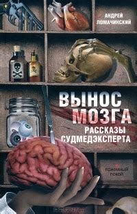 38. Внеплановая книга, случайно привлекшая внимание. Андрей Ломачинский ...