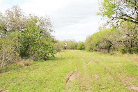 Texas Hunting Land for Sale