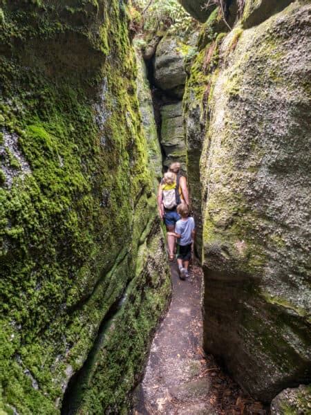 Exploring the Beautiful Rock City Park Near Olean, NY - Uncovering New York