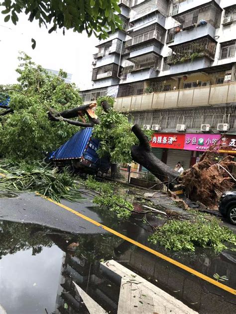 深圳台风山竹过境，深圳十几年第一次见到这么恐怖的台风一片狼藉台风山竹过境新浪新闻