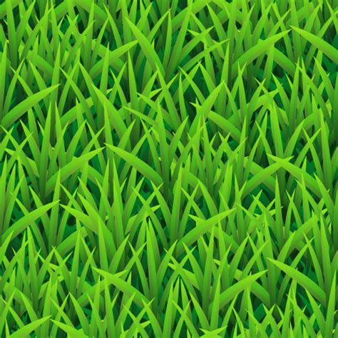 Vector Grass Pattern - Background Labs