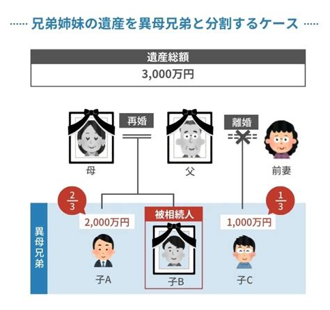 異母兄弟（異父兄弟）は法定相続人になる？相続時に起きやすいトラブルと対処法まとめ：朝日新聞デジタル