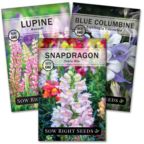 Hummingbird Seed Collection for Planting - Wildflowers for Pollinators ...