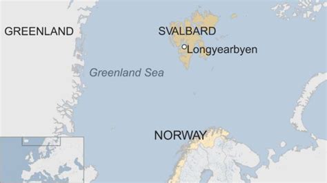 Polar Bear Shot Dead After Attacking Cruise Ship Guard Bbc News