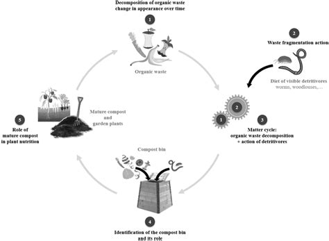 Significant stages for a global understanding of the organic matter cycling | Download ...