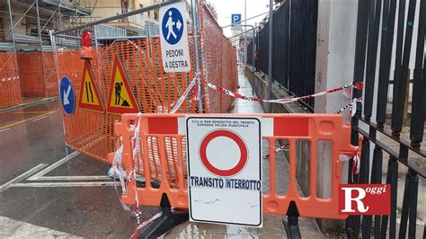 San Benedetto Cane Tocca Un Pozzetto Elettrico E Muore Folgorato La