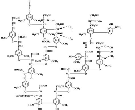 Enzymatic Characterisation Of Lignin Peroxidase From Luffa Aegyptiaca