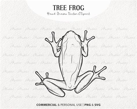 Tree Frog Svg Clipart Bundle Frog Vector Drawings Green Etsy