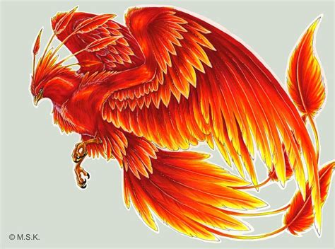 Phoenix clipart fawkes, Phoenix fawkes Transparent FREE for download on ...