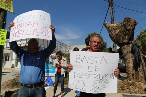 Personas Protestan Por Tala Ilegal De árboles Zona Centro Noticias