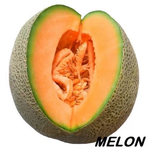 Fresh Melon at ₹ 20/kilogram | Fresh Fruits in Raigad | ID: 15553317655