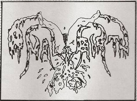 Anal Birth Discography Vinyl Cds More Discogs