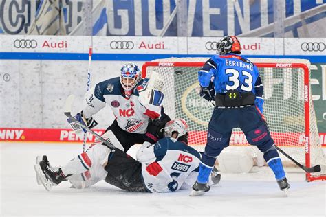 Playoff Runde Gegen K Ln Profis Erc Ingolstadt