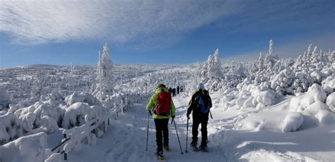 Riesengebirge Auf den Spuren Rübezahls Winterreise Wikinger Reisen