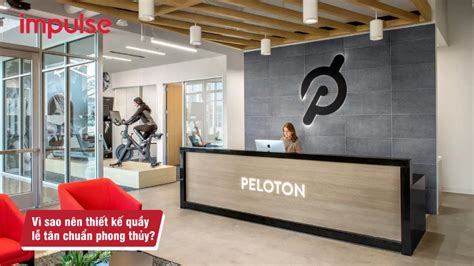 Nh Ng M U Thi T K Qu Y L T N Ph Ng Gym Hot Nh T N M Impulse Th Ng Hi U Setup Ph Ng