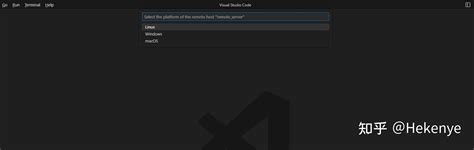 Vscode远程连接服务器教程 知乎