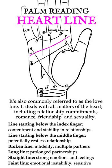 Palm Reading Guide How To Read Your Own Palm Spells8