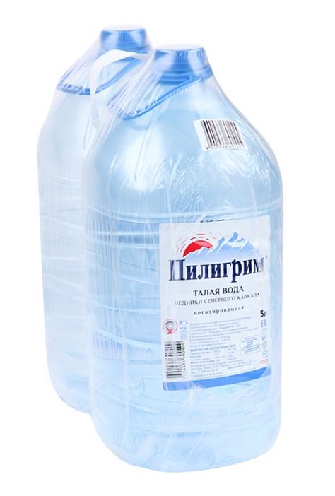 Минеральная вода «Пилигрим» 5 л (2 шт/упак) купить с доставкой по ...