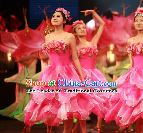 Chinese Classic Dance Costume Complete Set