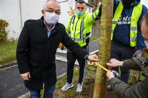 A Nceput Plantarea Arborilor N Cartierul Ntre Lacuri Din Cluj Napoca