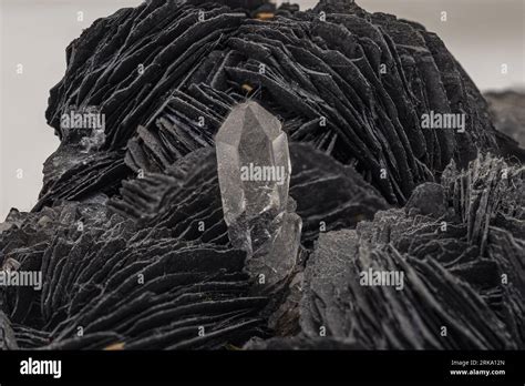 clear quartz  dark calcite crystals  matrix displayed