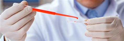 How Much Does DNA Testing Cost - Top 10 DNA Tests