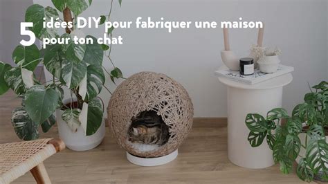 Comment Fabriquer Une Maison Pour Ton Chat Blog Kangalou