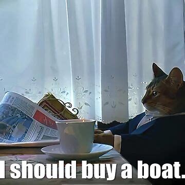 "HQ I Should Buy A Boat Cat Reading Newspaper Meme" Sticker for Sale by fomodesigns | Redbubble