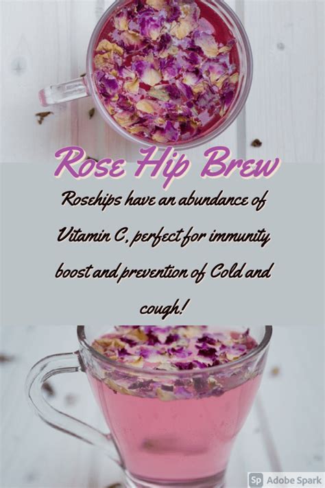 Health Benefits Of Rosehip Tea Home